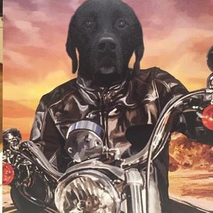 Meet your Posher, Sally